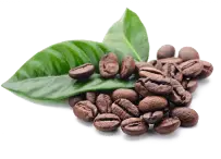 Свежеобжаренный кофе